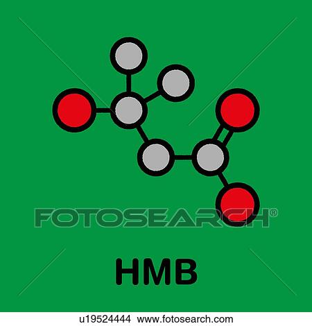 Picture - Beta-hydroxy beta-methylbutyric acid molecule, illustration. Fotosearch