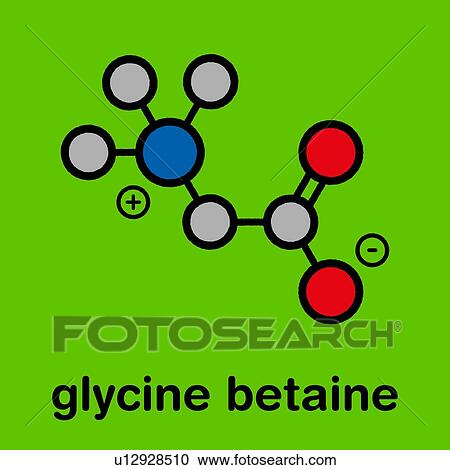 Betaine molecule, illustration View Large Photo Image Stock Image - Betaine molecule, illustration. Fotosearch