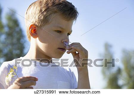 Boy discovering and smelling flowers in meadows View Large Photo Image Stock Image - Boy discovering and smelling flowers in meadows. Fotosearch