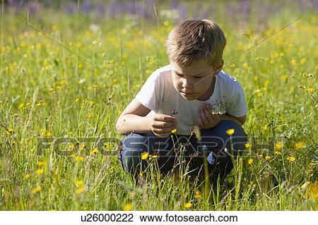 Stock Image - Boy discovering flowers in meadows. Fotosearch