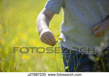 Stock Image - Boy discovering flowers in meadows. Fotosearch