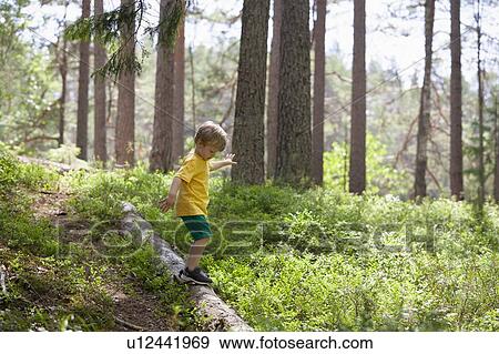 Stock Photo - Boy exploring forest, Finland. Fotosearch