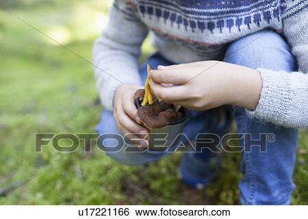 Stock Photograph - Boy picking up wild mushrooms in forest. Fotosearch