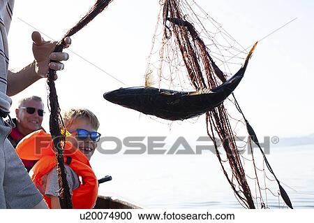 Boy smiling at fish caught in fishing net View Large Photo Image Stock Image - Boy smiling at fish caught in fishing net. Fotosearch