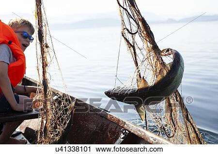 Boy smiling at fish caught in fishing net View Large Photo Image Stock Image - Boy smiling at fish caught in fishing net. Fotosearch