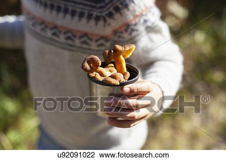 Stock Image - Boy with cup of wild mushrooms in forest, craterellus tubaeformis. Fotosearch
