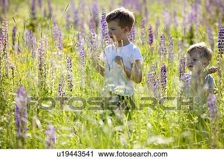 Stock Image - Brothers exploring and playing in meadows. Fotosearch