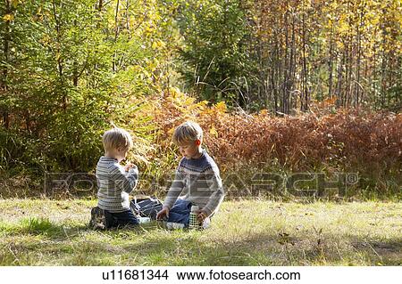 Picture - Brothers having picnic in forest on sunny day. Fotosearch