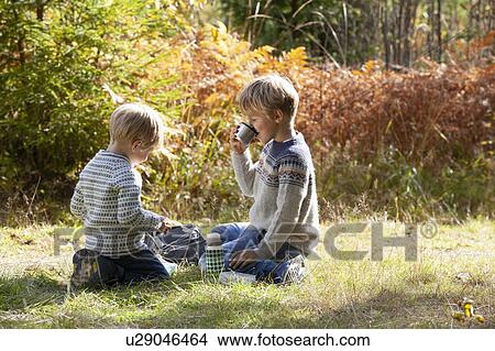 Picture - Brothers having picnic in forest on sunny day. Fotosearch