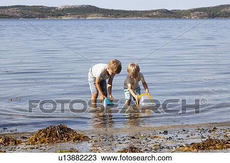 Brothers picking up seashells on beach View Large Photo Image Stock Image - Brothers picking up seashells on beach. Fotosearch