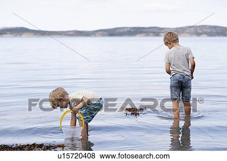 Brothers picking up seashells on beach View Large Photo Image Stock Photo - Brothers picking up seashells on beach. Fotosearch