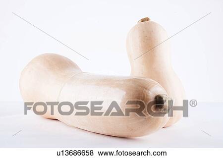 Butternut squash wearing condom concept safe sex View Large Photo Image Stock Photo - Butternut squash wearing condom concept safe sex. Fotosearch