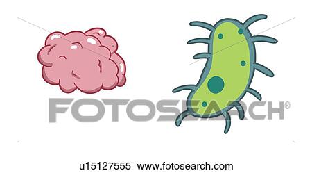 Stock Photography - Central nervous system and microbiome, illustration. Fotosearch