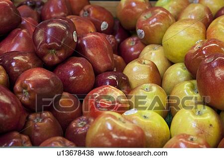 Close-up of apples on display in market View Large Photo Image Stock Photo - Close-up of apples on display in market. Fotosearch