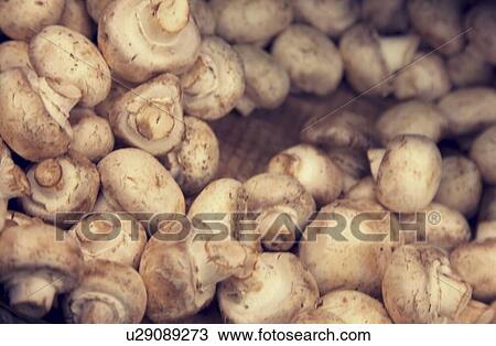 Stock Image - Close-up of button mushrooms in grocery store. Fotosearch