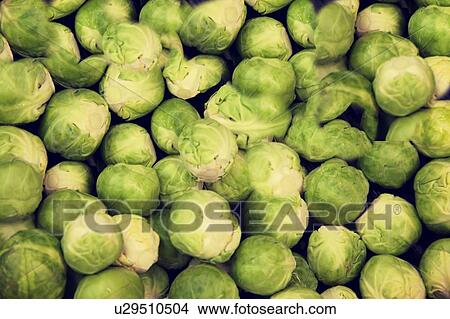 Close-up of cabbages on display in market View Large Photo Image Picture - Close-up of cabbages on display in market. Fotosearch