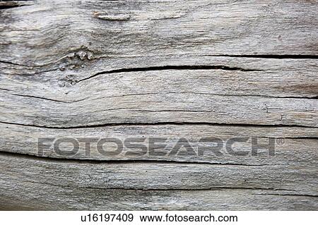 Stock Photo - Close up of cracked wood background. Fotosearch