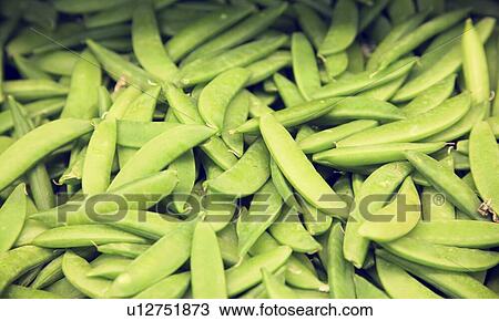 Close-up of green peas in farmer's market View Large Photo Image Stock Image - Close-up of green peas in farmer's market. Fotosearch