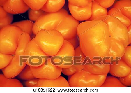 Stock Image - Close-up of orange bell pepper. Fotosearch