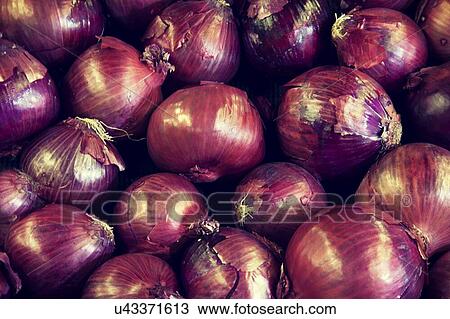Close-up of red onion on display in market View Large Photo Image Stock Image - Close-up of red onion on display in market. Fotosearch