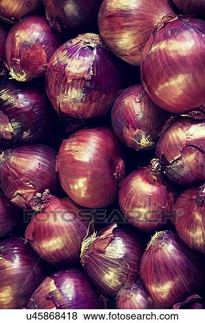 Stock Photo - Close-up of red onion on display in market. Fotosearch