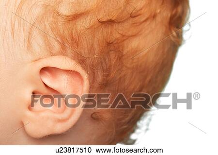 Close up of Redheaded Baby's Ear View Large Photo Image Stock Image - Close up of Redheaded Baby's Ear. Fotosearch