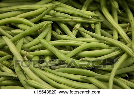 Stock Image - Close-up of string beans in market. Fotosearch