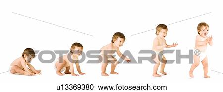Stock Image - Collage of stages of baby walking in studio. Fotosearch
