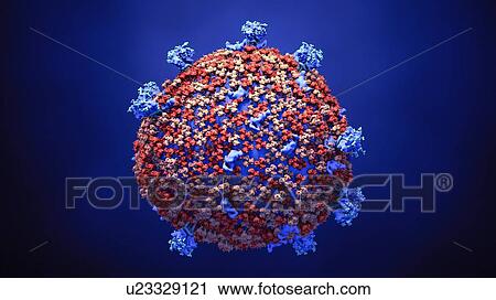 Stock Image - Coronavirus particle, illustration. Fotosearch
