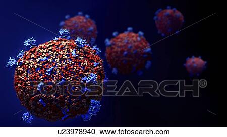 Coronavirus particles, illustration View Large Photo Image Stock Image - Coronavirus particles, illustration. Fotosearch