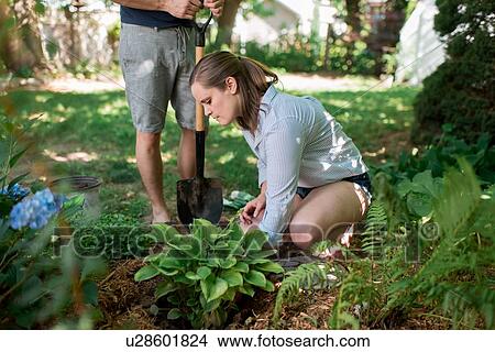 Picture - Couple gardening in backyard. Fotosearch