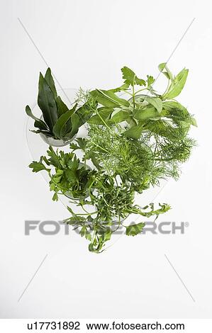 Stock Image - Culinary herbs forming a heart. Fotosearch