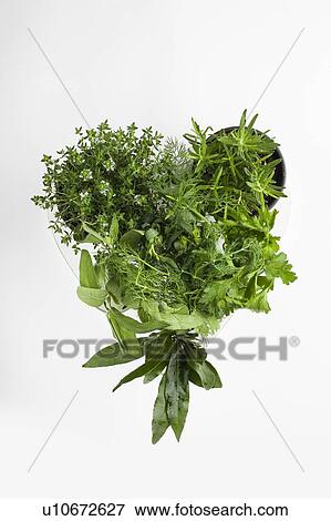 Culinary herbs forming a heart View Large Photo Image Stock Photo - Culinary herbs forming a heart. Fotosearch