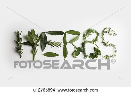 Picture - Culinary herbs. Fotosearch
