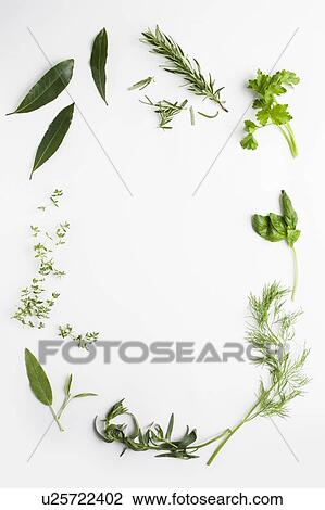 Culinary herbs View Large Photo Image Stock Image - Culinary herbs. Fotosearch