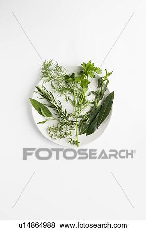 Culinary herbs View Large Photo Image Stock Photo - Culinary herbs. Fotosearch