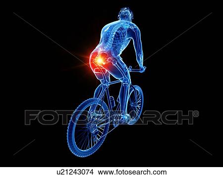 Picture - Cyclist's skeleton, illustration. Fotosearch