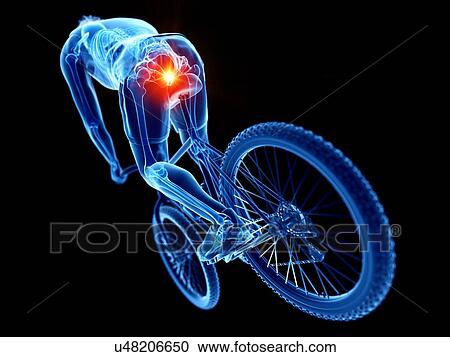 Stock Image - Cyclist's skeleton, illustration. Fotosearch