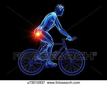Stock Photo - Cyclist's skeleton, illustration. Fotosearch