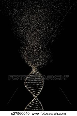 DNA damage, illustration View Large Photo Image Stock Image - DNA damage, illustration. Fotosearch