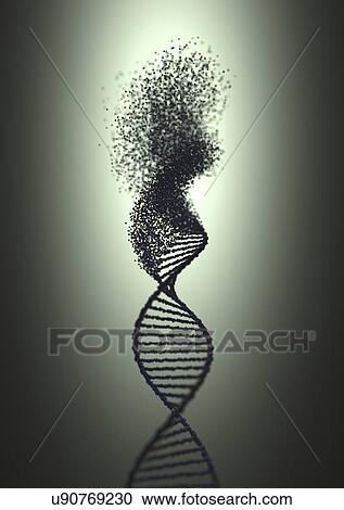 Stock Image - DNA damage, illustration. Fotosearch