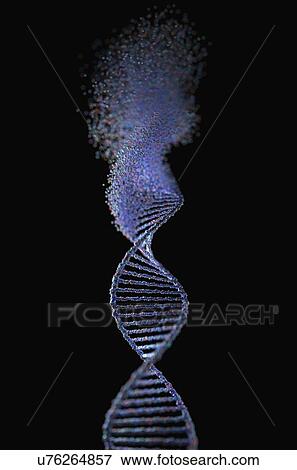 DNA damage, illustration View Large Photo Image Stock Photo - DNA damage, illustration. Fotosearch