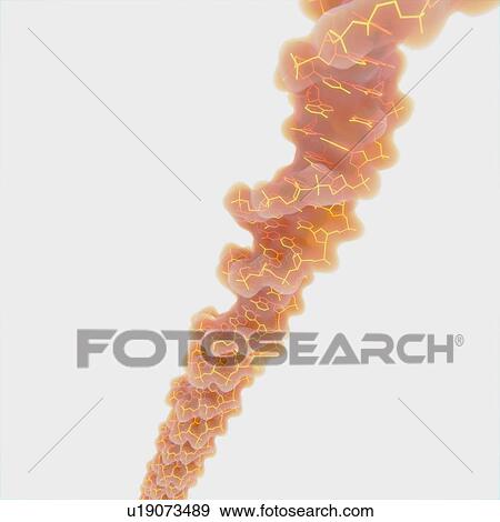 DNA strand, illustration View Large Photo Image Stock Photo - DNA strand, illustration. Fotosearch