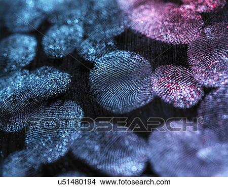 Dusted fingerprints View Large Photo Image Picture - Dusted fingerprints. Fotosearch