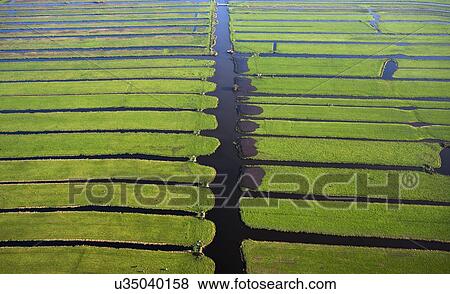 Dutch polders, Donkereind, Utrecht, Netherlands View Large Photo Image Stock Photo - Dutch polders, Donkereind, Utrecht, Netherlands. Fotosearch