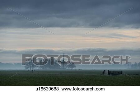 Stock Photo - Early morning fog over historic windmill in old polder, Wyns, Friesland, Netherlands. Fotosearch