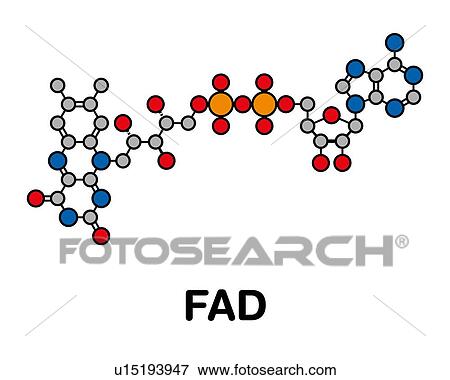 FAD redox coenzyme molecule, illustration View Large Photo Image Stock Photo - FAD redox coenzyme molecule, illustration. Fotosearch