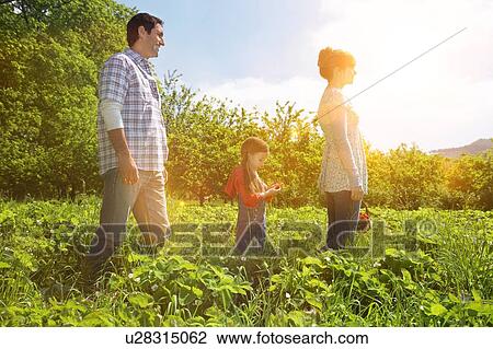 Stock Image - Family in strawberry field. Fotosearch