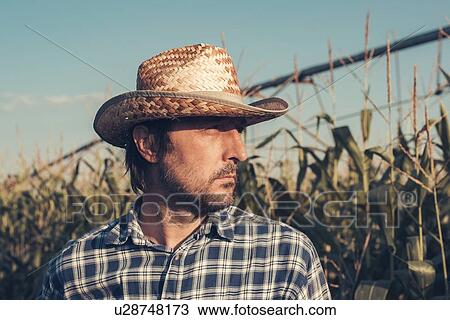 Stock Image - Farmer in corn field. Fotosearch