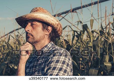 Farmer in corn field View Large Photo Image Stock Photo - Farmer in corn field. Fotosearch